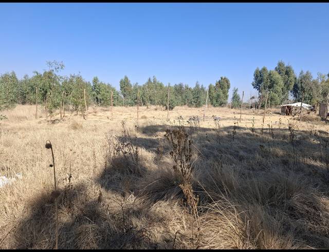 16,225M² SMALLHOLDING FOR SALE IN MIDDELVLEI AH